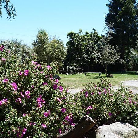 Fernwood Holiday Park Motueka Oda fotoğraf