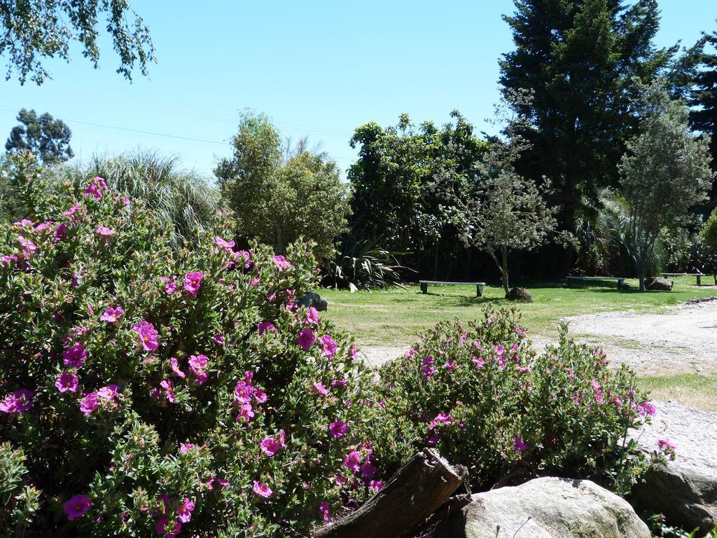 Fernwood Holiday Park Motueka Oda fotoğraf